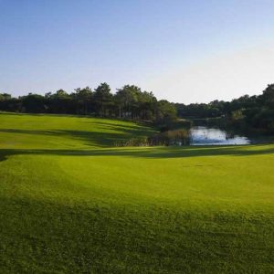 5th hole